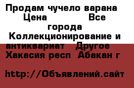 Продам чучело варана › Цена ­ 15 000 - Все города Коллекционирование и антиквариат » Другое   . Хакасия респ.,Абакан г.